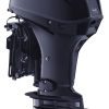 MFS-40-2018-P (1)