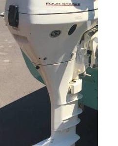 5989d057ce197_Johnson15-2.thumb.jpeg.3905df6ed813028197cab0608f838507